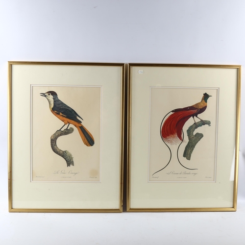 2213 - A group of 19th and 20th century ornithology prints, hand coloured lithographs etc (6)