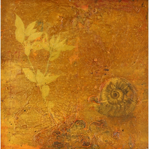 2242 - Alan Rankle, oil on panel, ammonite study 1999, 30cm x 30cm, framed