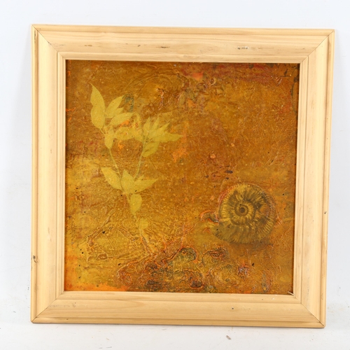 2242 - Alan Rankle, oil on panel, ammonite study 1999, 30cm x 30cm, framed