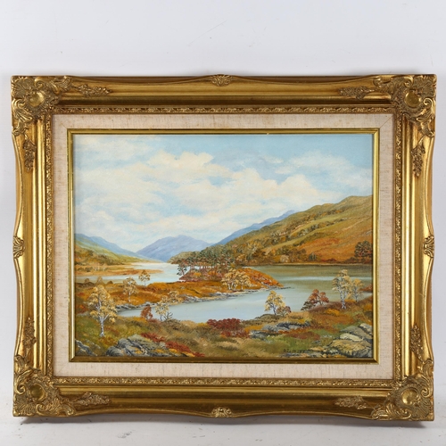 2278 - Daphne Linzey, oil on board, Highland landscape, 30cm x 40cm, framed