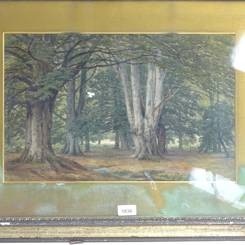 1836 - F R Lee, watercolour, Burnham Beeches, 1851, signed, 12.5