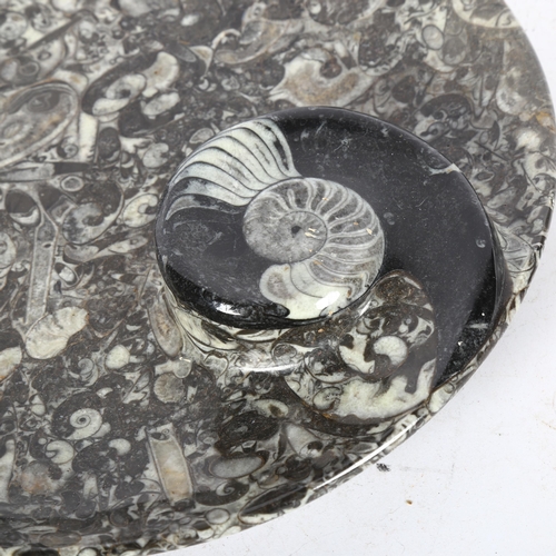 519 - A Sussex marble plate with fossil decoration, 31cm