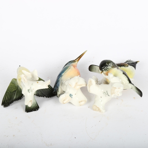 600 - KARL ENS - 3 porcelain birds, including a yellow crested tit, and kingfisher