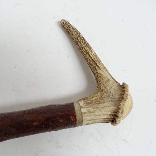 654 - Staghorn-handled walking stick, another, and an umbrella with Terrier knop