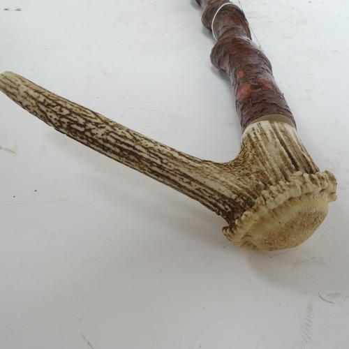 654 - Staghorn-handled walking stick, another, and an umbrella with Terrier knop