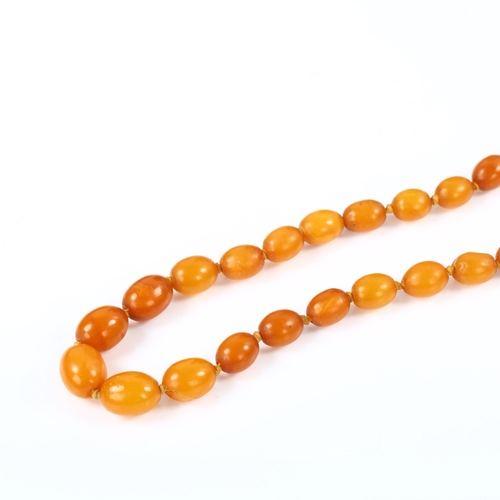 181 - A single-strand graduated butterscotch amber bead necklace, beads ranging from 12.5mm to 9.1mm, neck... 