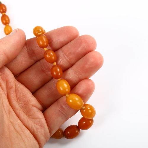 181 - A single-strand graduated butterscotch amber bead necklace, beads ranging from 12.5mm to 9.1mm, neck... 