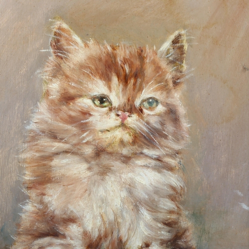 2005 - I V Ingram, oil on board, portrait of a cat, signed, 26cm x 23cm, framed