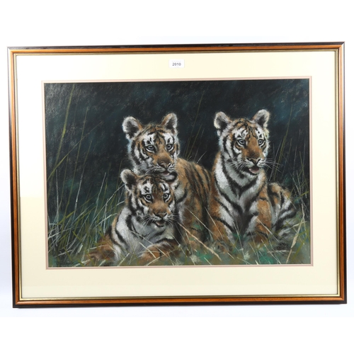 2010 - Joel Kirk, coloured pastels, 3 tiger cubs, signed, 46cm x 67cm, framed