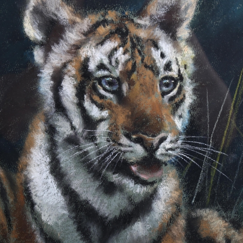 2010 - Joel Kirk, coloured pastels, 3 tiger cubs, signed, 46cm x 67cm, framed