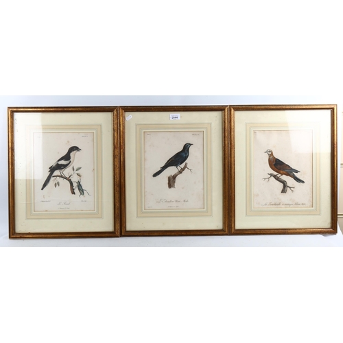 2044 - 6 x 19th century hand coloured ornithological engravings, 29cm x 22cm, framed (6)