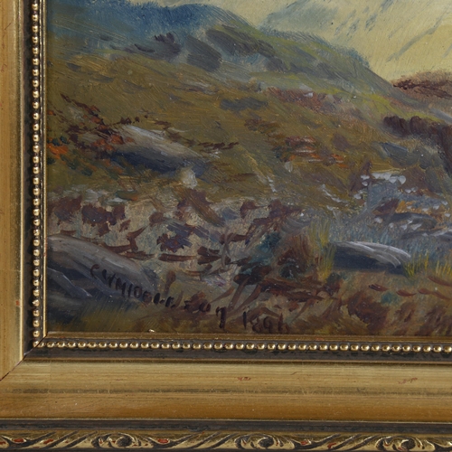 2060 - C W Middleton, oil on board, Highland landscape, 1891, 21cm x 26cm, framed