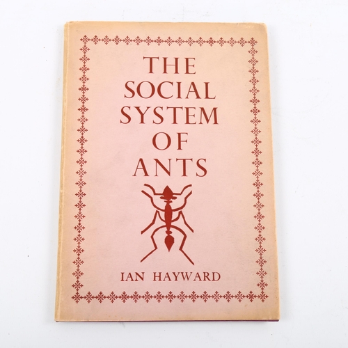 1124 - The Social System Of Ants by Ian Hayward, published by Hornsey College of Art Press 1958