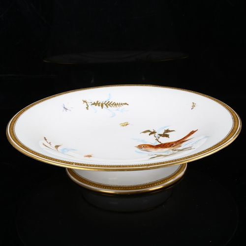 1134 - Victorian Royal Worcester tazza, with hand painted bird and insect decoration, with gilded border, 1... 