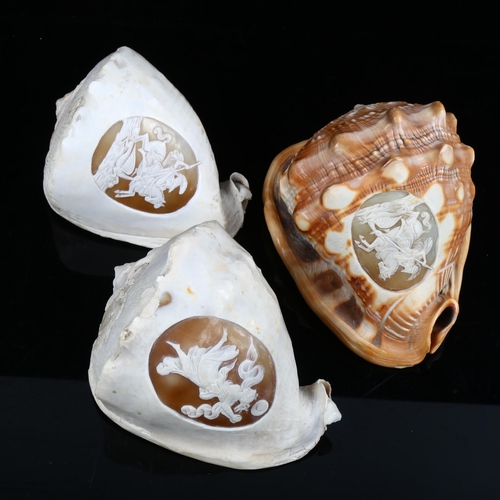 1163 - 3 early 19th century conch shells with relief carved Classical cameo panels, largest length 15cm