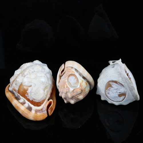 1164 - 3 early 19th century conch shells with relief carved Classical cameo panels, largest length 15cm