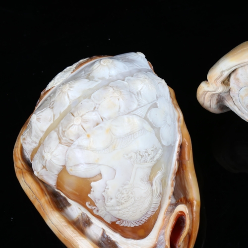 1164 - 3 early 19th century conch shells with relief carved Classical cameo panels, largest length 15cm