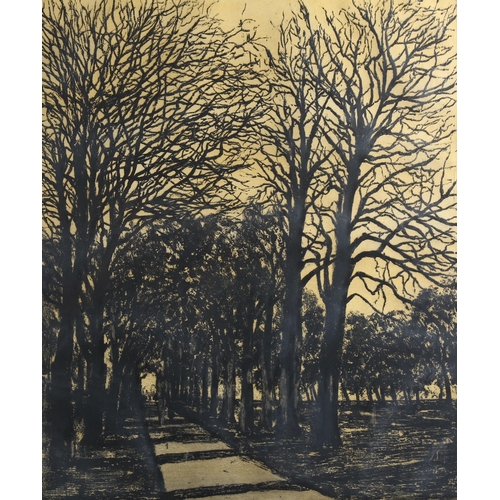 2128 - Francis Kelly, sugartint, etching, Hyde Park, signed in pencil, plate 60cm x 50cm, framed