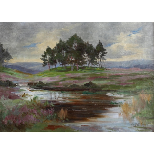 2146 - C M Dundas, oil on canvas, Highland landscape, signed, 40cm x 55cm, framed