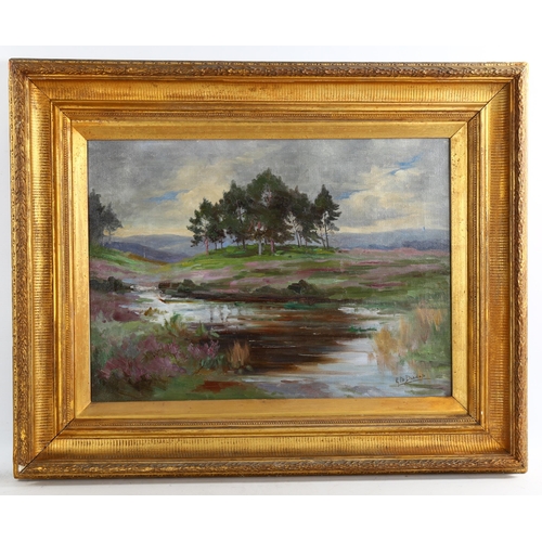 2146 - C M Dundas, oil on canvas, Highland landscape, signed, 40cm x 55cm, framed