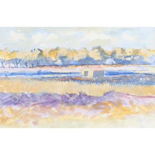 2160 - Diana Boyd, watercolour, landscape Languedoc, 16cm x 25cm, framed