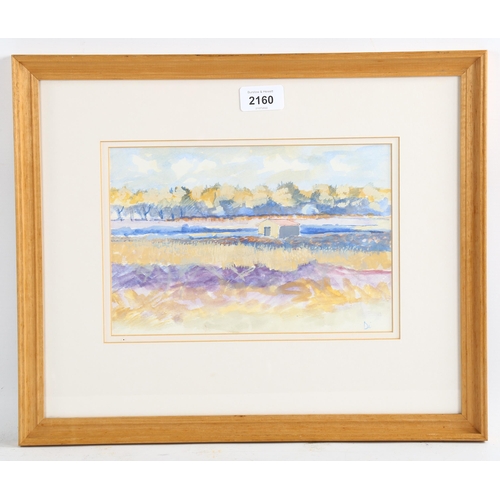 2160 - Diana Boyd, watercolour, landscape Languedoc, 16cm x 25cm, framed