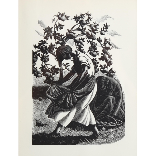 2179 - Claire Leighton (1898-1989), wood engraving on paper, A Lapful of Windfalls, 17.5cm x 12.2cm, printe... 