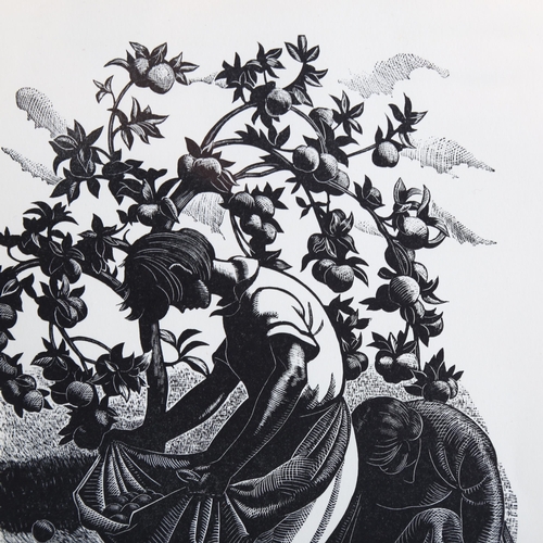 2179 - Claire Leighton (1898-1989), wood engraving on paper, A Lapful of Windfalls, 17.5cm x 12.2cm, printe... 