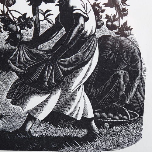 2179 - Claire Leighton (1898-1989), wood engraving on paper, A Lapful of Windfalls, 17.5cm x 12.2cm, printe... 