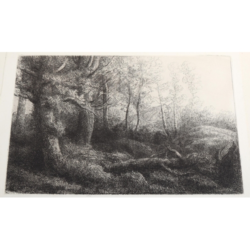 2191 - Alphonse Legros, original etching, a woodland study, published by The Studio, image 21cm x 32cm, unf... 