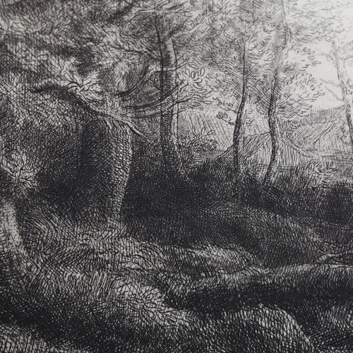 2191 - Alphonse Legros, original etching, a woodland study, published by The Studio, image 21cm x 32cm, unf... 