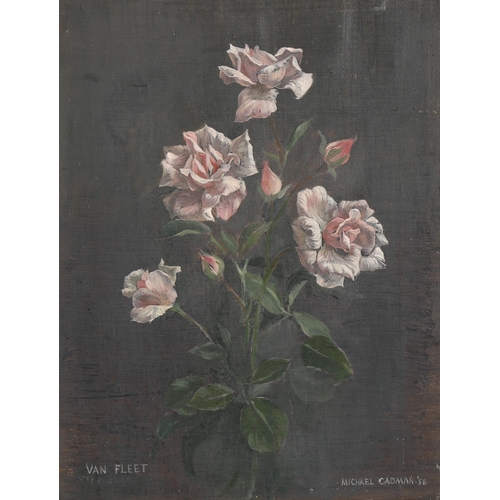 2205 - Michael Cadman (1920 - 2010), oil on canvas, Van Fleet roses, signed and dated '58, 45cm x 35cm, fra... 