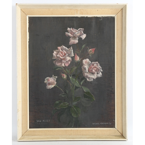 2205 - Michael Cadman (1920 - 2010), oil on canvas, Van Fleet roses, signed and dated '58, 45cm x 35cm, fra... 