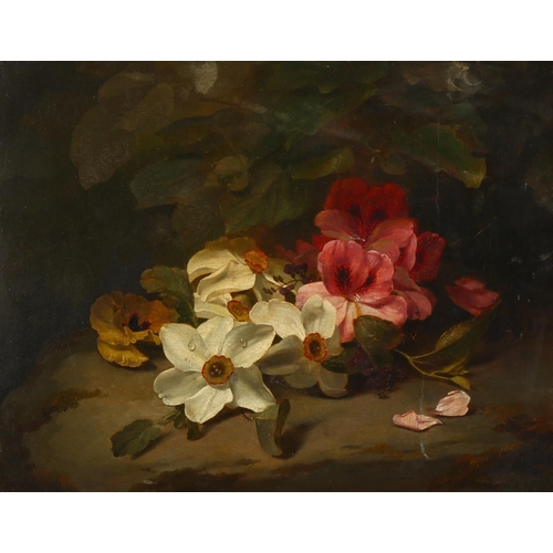 2222 - Karl Voss (1825 - 1896), oil on canvas, Narcissi, Pelagonium and Pansy, signed, 27cm x 35cm, framed