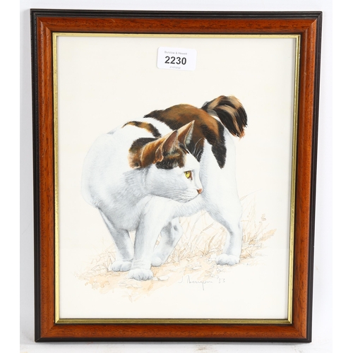 2230 - Jean Thompson, watercolour, cat, signed, 29cm x 23cm, framed