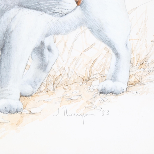 2230 - Jean Thompson, watercolour, cat, signed, 29cm x 23cm, framed