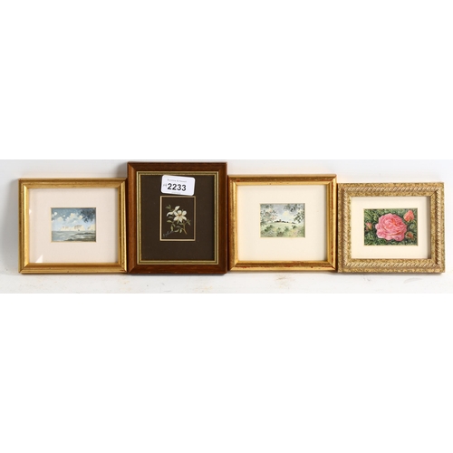 2233 - 4 miniature watercolour paintings, including a floral study by Barbara Valentine, framed (4)