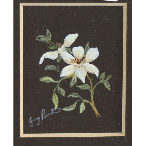 2233 - 4 miniature watercolour paintings, including a floral study by Barbara Valentine, framed (4)