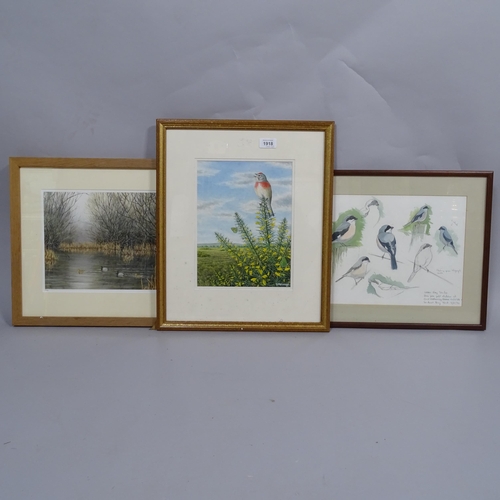 1918 - S Message, watercolour, bird and butterfly, 28cm x 21cm, group of bird sketches by the same hand, an... 