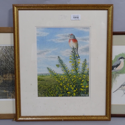 1918 - S Message, watercolour, bird and butterfly, 28cm x 21cm, group of bird sketches by the same hand, an... 