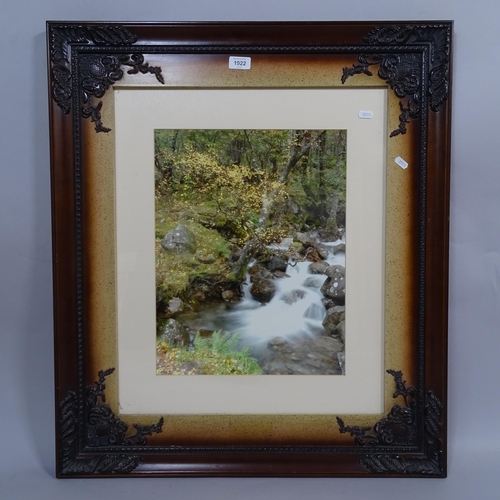 1922 - Sabs, a framed photograph, woodland stream, 81cm x 70cm