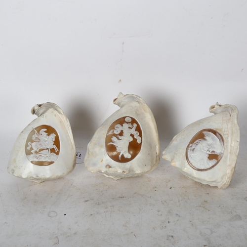 817 - 3 early 19th century conch shells with relief carved Classical cameo panels, largest length 15cm