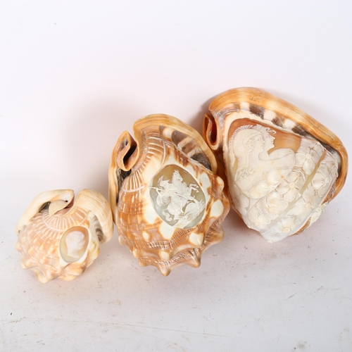 820 - 3 early 19th century conch shells with relief carved Classical cameo panels, largest length 15cm