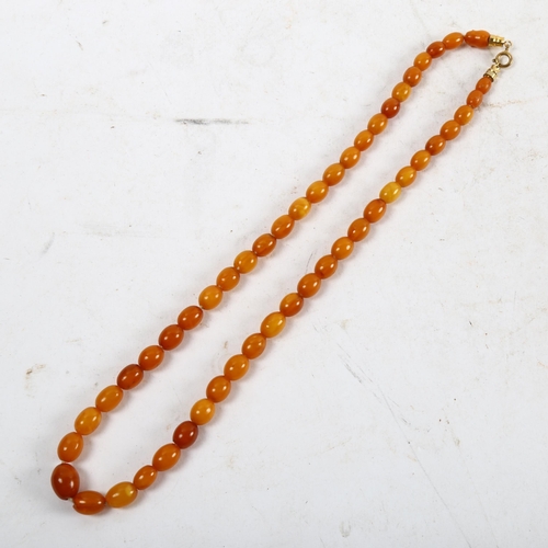 1121 - A butterscotch amber graduated bead necklace, overall length 51cm, 17.6g