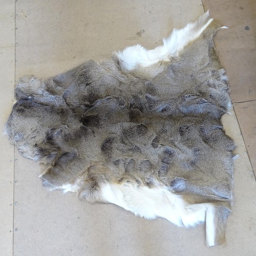 2400 - A white tail deer skin, 120 x 130cm