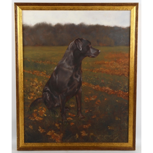 2145 - Michael Jevon, oil on canvas, black Labrador, signed, 50cm x 40cm, framed