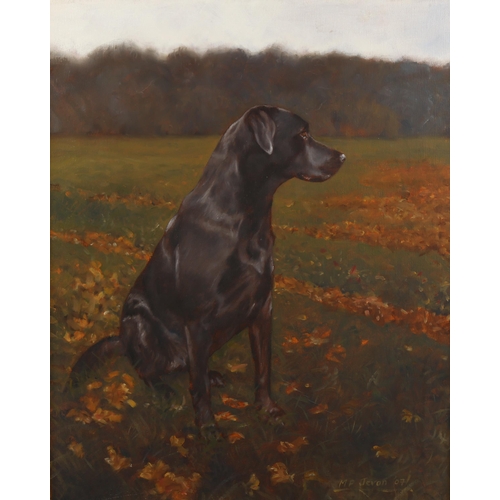 2145 - Michael Jevon, oil on canvas, black Labrador, signed, 50cm x 40cm, framed