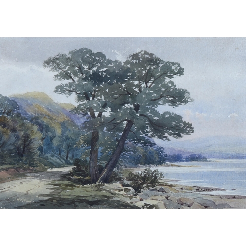 2147 - Williams Callow (1812 - 1908), watercolour, trees by a lake, 17cm x 25cm, framed