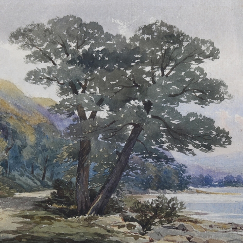 2147 - Williams Callow (1812 - 1908), watercolour, trees by a lake, 17cm x 25cm, framed