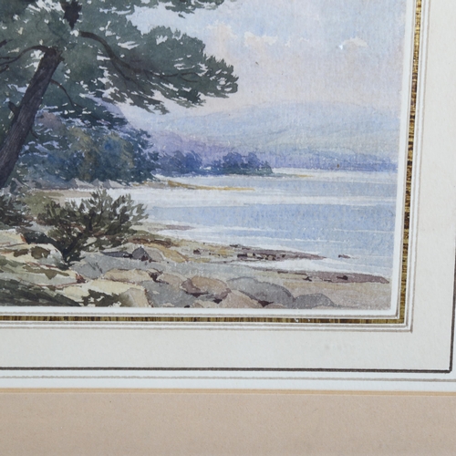 2147 - Williams Callow (1812 - 1908), watercolour, trees by a lake, 17cm x 25cm, framed